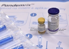 S vakcinací se v Česku začalo až po vypuknutí epidemie.